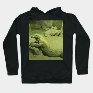 Komodo dragon Hoodie